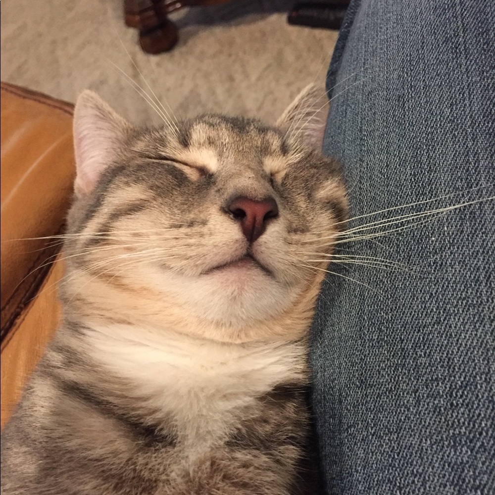 Meet your Posher, Catherine